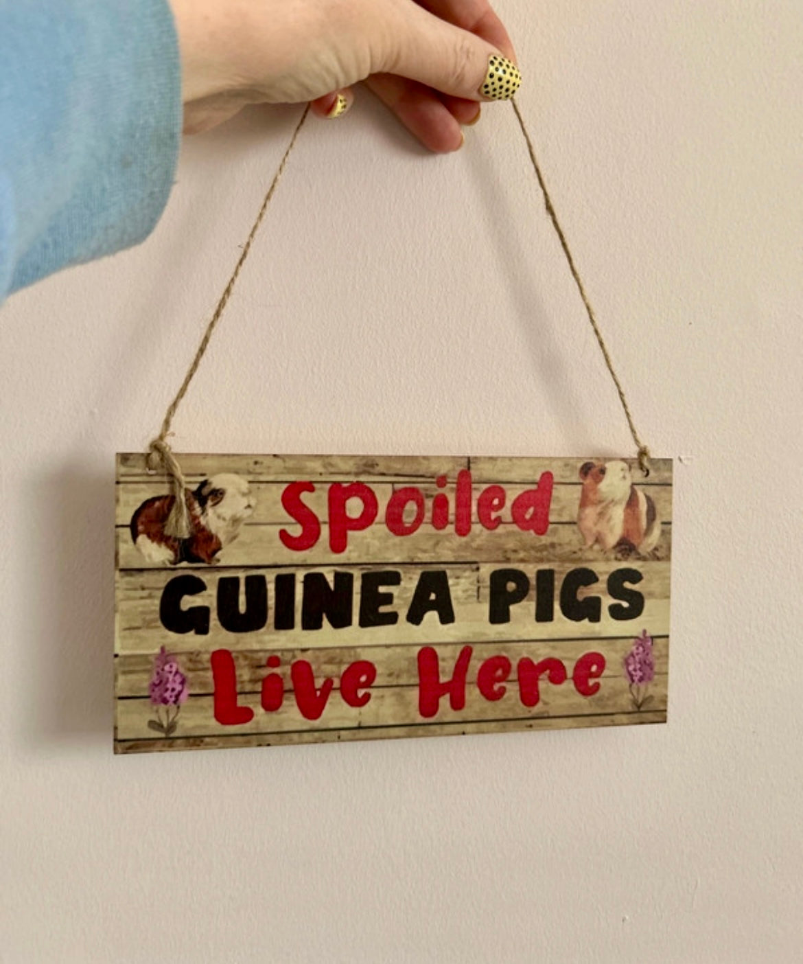Spoiled Guinea Pigs Live Here Sign Gift