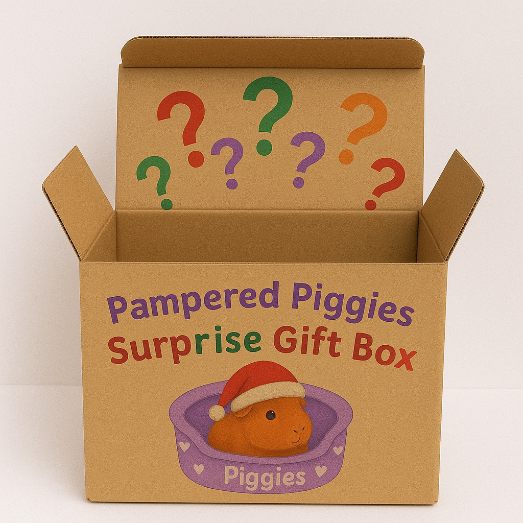 Guinea Pig Surprise Christmas Box