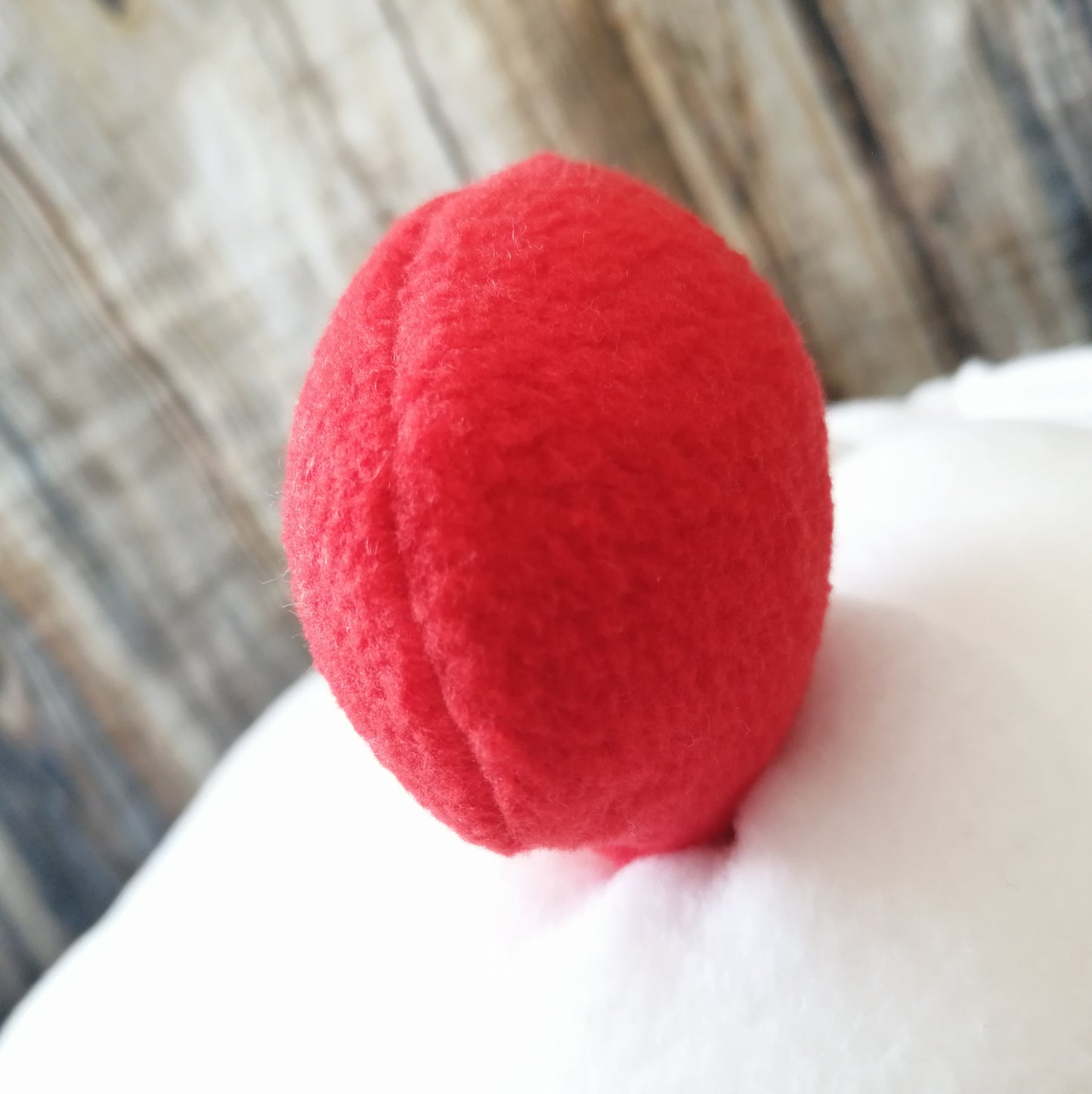 Bumble ee Guinea Pig Fleece House + Pad