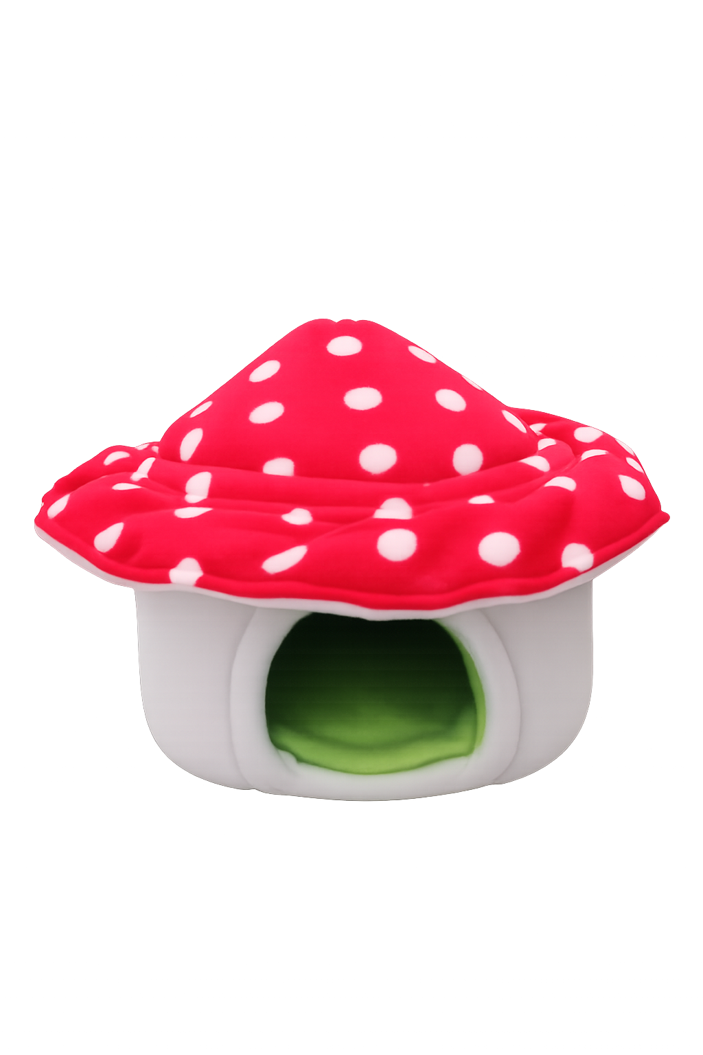 Guinea pig toadstool