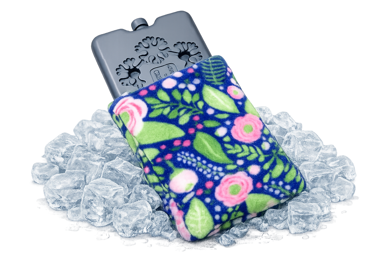 Guinea Pig Ice Blocks