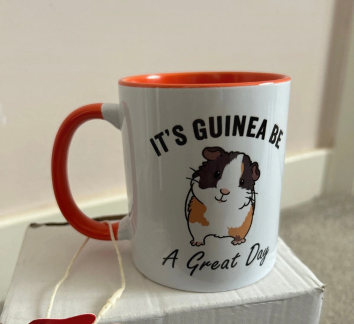 Guinea Pig Mug Orange